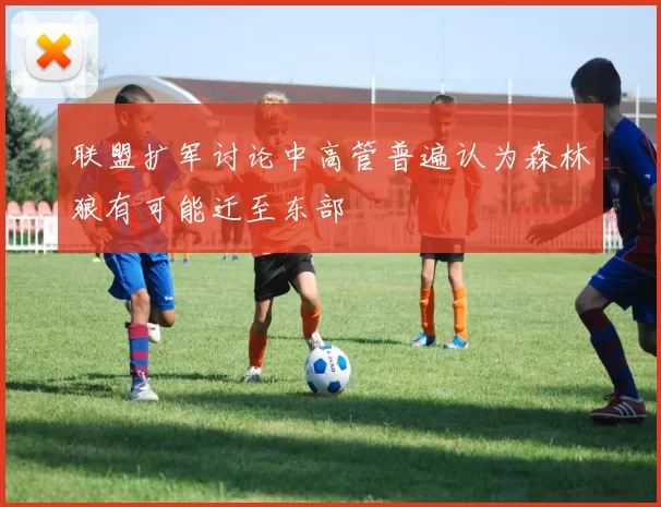 联盟扩军讨论中高管普遍认为森林狼有可能迁至东部